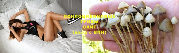 мяу мяу мука Осинники