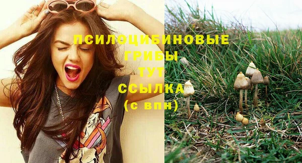 каннабис Осташков