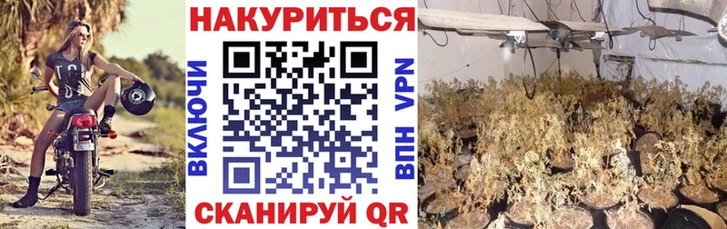 Марихуана Bruce Banner  Купить где  Миасс 